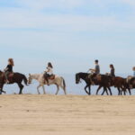 Cabo San Lucas: Horseback Riding Adventure - Who Should Consider This Tour?