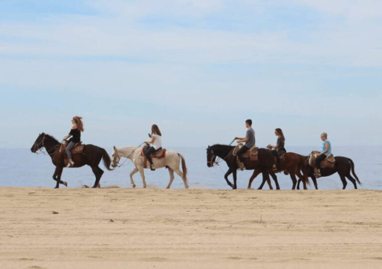 Cabo San Lucas: Horseback Riding Adventure - Who Should Consider This Tour?