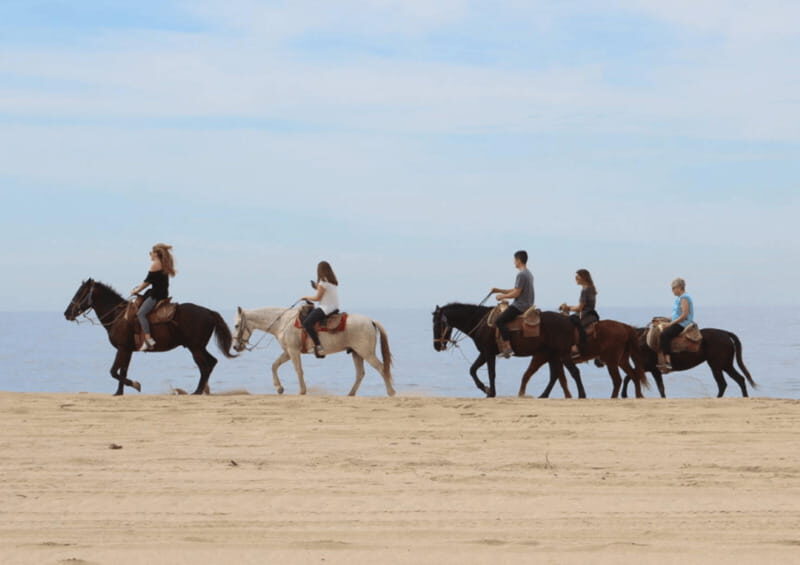 Cabo San Lucas: Horseback Riding Adventure - Who Should Consider This Tour?
