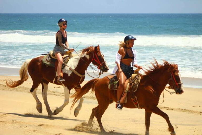 Cabo San Lucas: Horseback Riding in Migriño with Transfers - What Makes This Tour Stand Out?