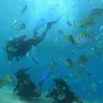 Cabo San Lucas: Marine Reserve Dive - Why This Tour Is a Smart Choice