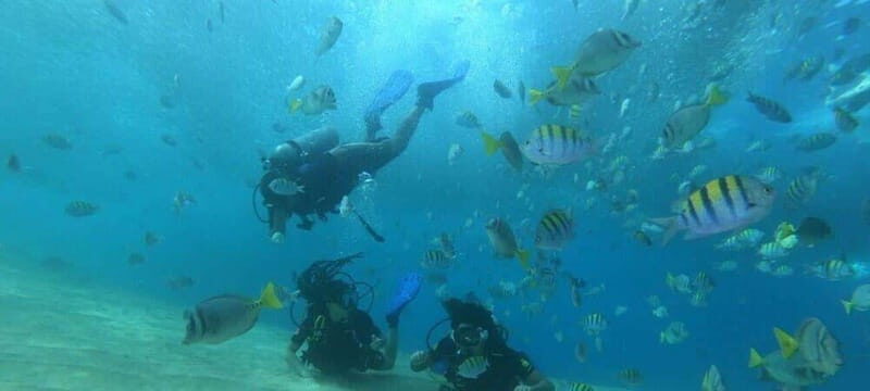 Cabo San Lucas: Marine Reserve Dive - Why This Tour Is a Smart Choice