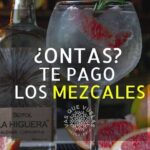 Cabo San Lucas Mezcal Tasting and Cocktail Class - The Tasting and Learning Experience