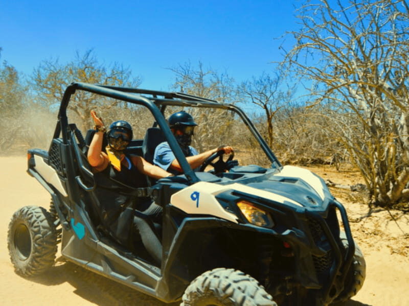 Cabo San Lucas: Migriño Beach & Desert UTV Adventure - Who Will Love This Tour?