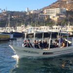 Cabo San Lucas Small-Group Whale Watching Tour: Hear the Whales - Practical Details and Considerations