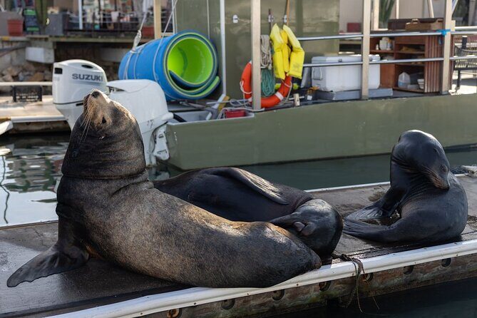 Cabo San Lucas Snorkel Adventure with Photos Included - Authentic Traveler Feedback