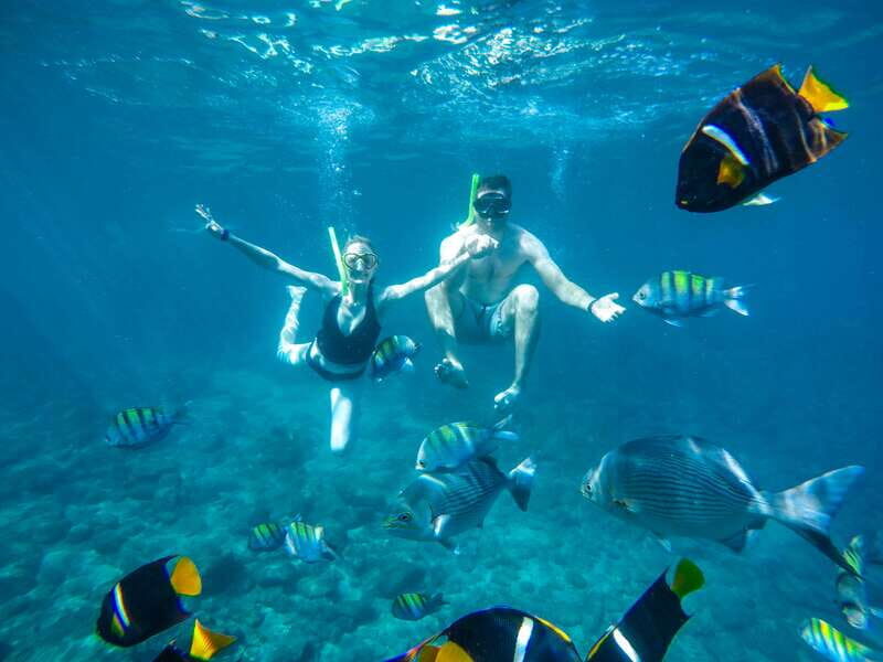 Cabo San Lucas: Snorkel Tour with Open Bar & Snacks - Setting the Scene: What You Can Expect