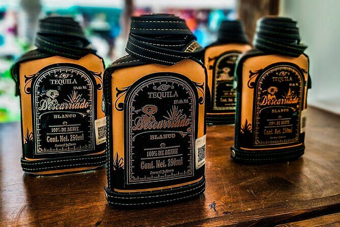 Cabo San Lucas Tequila Tasting Experience - What the Reviews Say