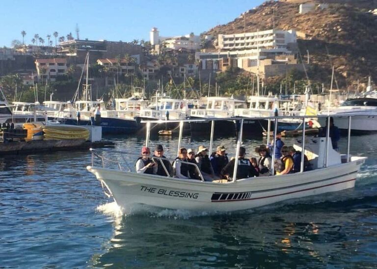 Cabo San Lucas: Whale Watching/Hearing Tour with Hydrophones - Who Will Love This Tour?