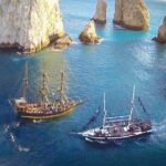 Cabo San Lucas Whale Watching Tour All Included - Final Thoughts: Is It Worth It?