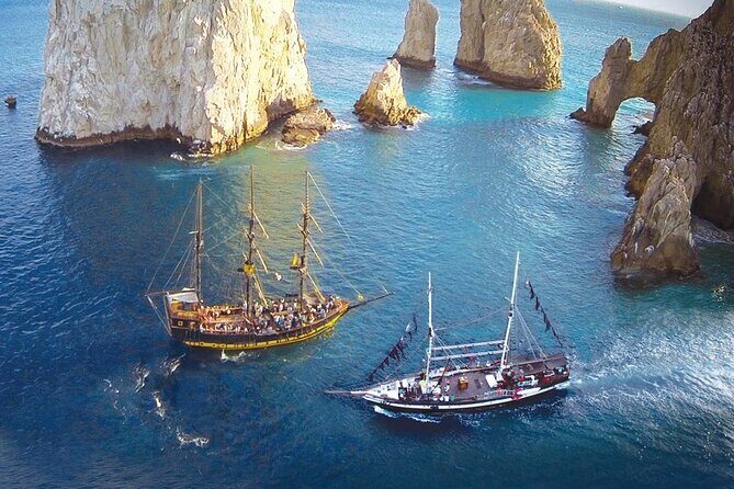 Cabo San Lucas Whale Watching Tour All Included - Final Thoughts: Is It Worth It?