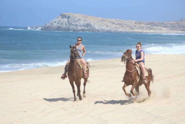 Cabo San Lucas: White Sand Horseback Adventure - Who Will Love This Tour?