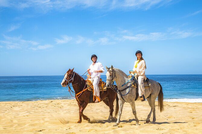 Cabo Tour Mexico Camel and Horseback Ride with ATV Adventure - Camel Ride: A Unique Beach Encounter