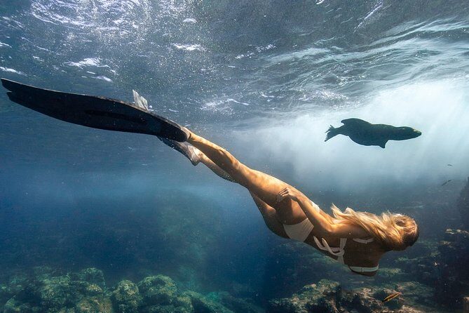 Cabo Wildlife SAFARI - Who Is This Tour Best For?