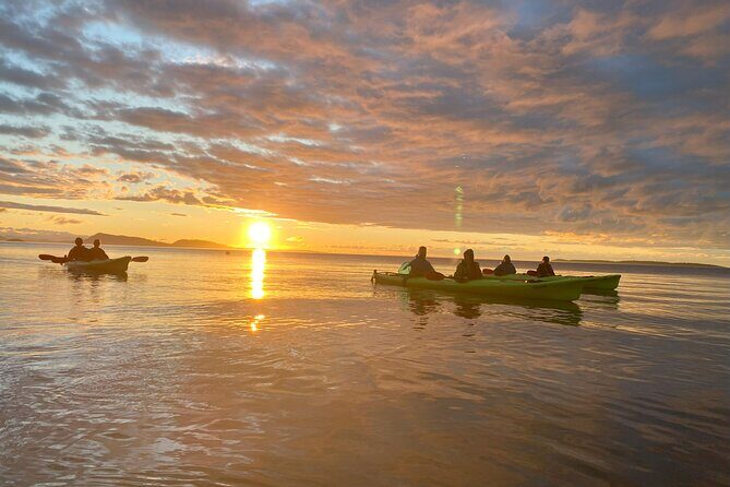 Cafes and Kayaks: Full Day Kayaking Adventure on Orcas Island - Authentic Traveler Insights from Reviews