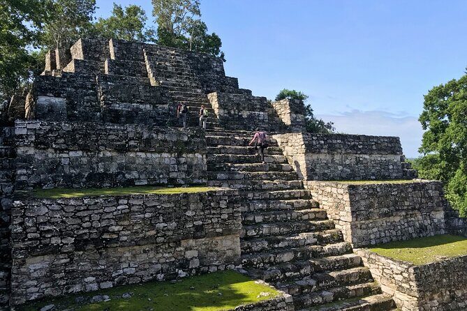 Calakmul, Ancient Maya City from Bacalar or Chetumal - Who Will Love This Tour?