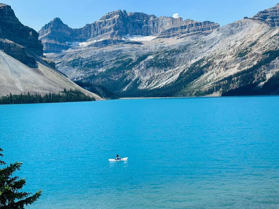 Calgary: Columbia Icefield & Skywalk, Peyto, Bow & Glaciers - Transportation, Guides, and Overall Value