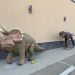 Calgary: Drumheller and Badlands Tour with Museum Entry - Final Thoughts on Value and Suitability