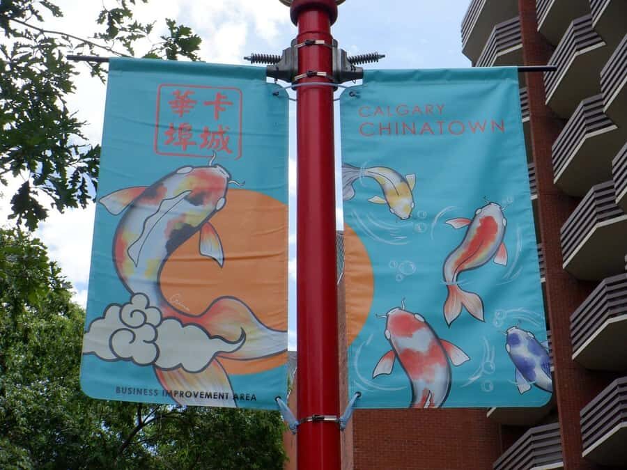 Calgary: Guided Couple City Tour with Stops for Photos - The Itinerary: A Well-Curated Snapshot of Calgary