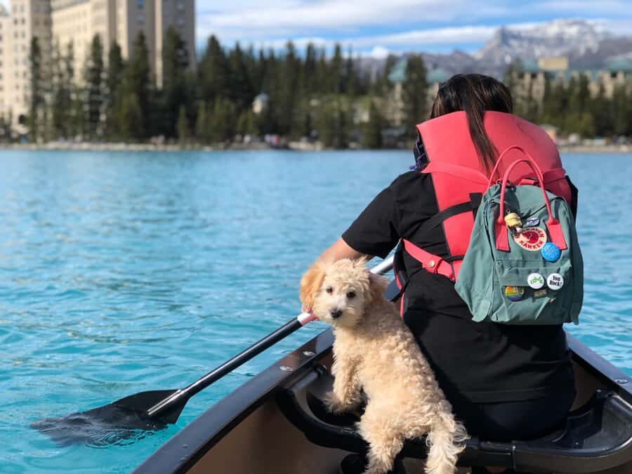 Calgary Shuttle: Lake Louise, Banff & Johnston Canyon Tour - The Itinerary Breakdown: What to Expect