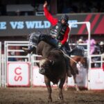 Calgary Stampede Afternoon Rodeo - Final Thoughts
