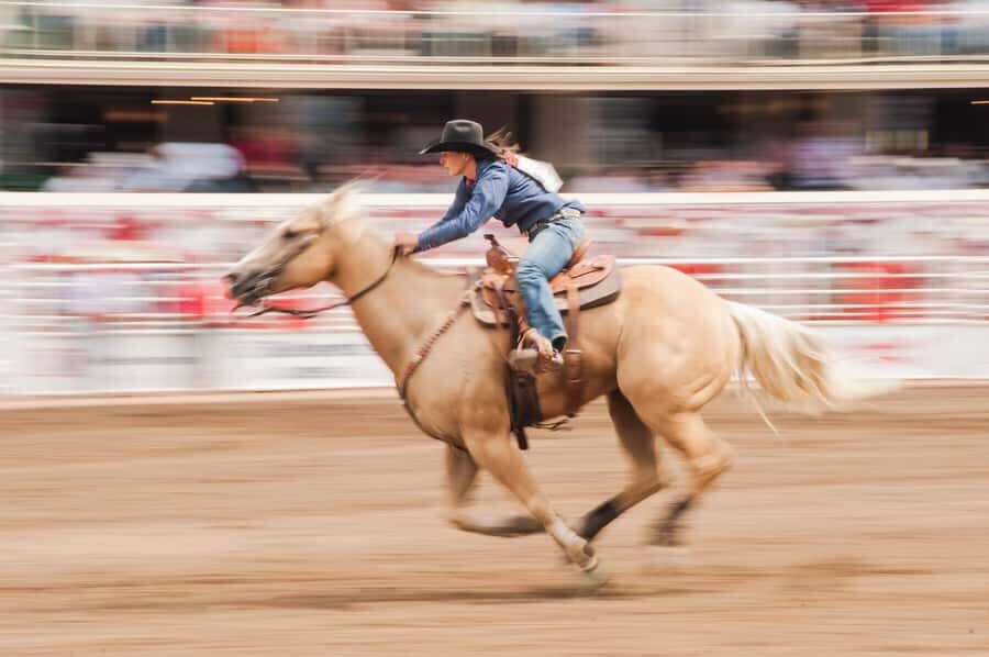 Calgary Stampede Afternoon Rodeo - What Are the Major Highlights?
