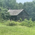 Camden: Revolutionary War Park Guided Tour - A Walk Through History: What to Expect