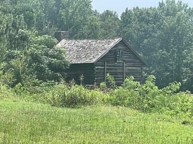 Camden: Revolutionary War Park Guided Tour - A Walk Through History: What to Expect