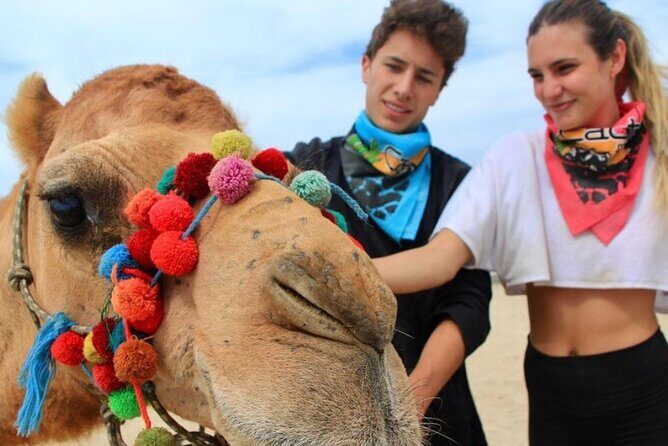 Camel Encounter and Safari Ride. Includes lunch & alcohol tasting - The Authenticity and Atmosphere