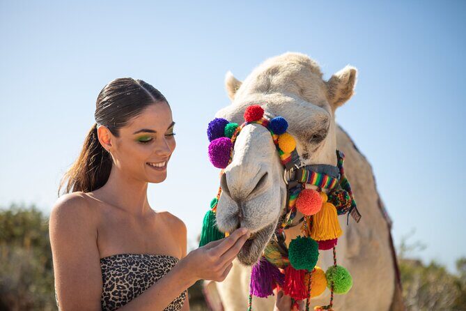 Camel Ride and Tequila Tasting Adventure in Los Cabos - Who Will Love This Experience?