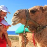 Camel Ride & Encounter at Los Cabos - FAQs