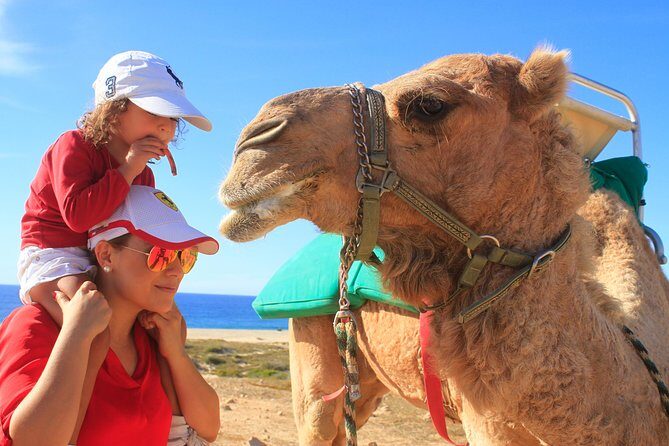 Camel Ride & Encounter at Los Cabos - FAQs