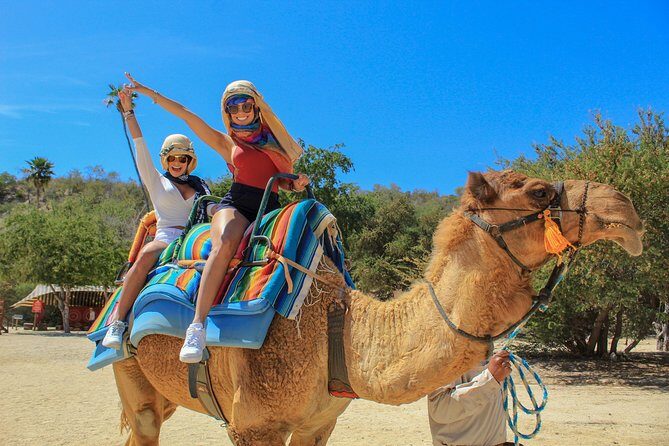 Camel Ride in the Canyon, Thrilling Water Slides and Snacks - The Sum Up