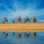 Camel Ride On The Beach at Los Cabos - Authenticity and Quality: What Past Travelers Say