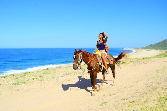 Camel Ride Tour in Los Cabos - Final Thoughts: Is It Worth It?
