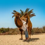 Camel Ride with Tequila Tasting and Lunch in Los Cabos - Authentic Feedback from Participants