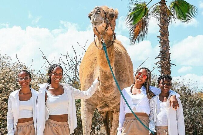 Camel Safari and Gastronomic Experience in Los Cabos - What to Expect from the Tour