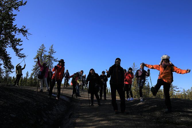 Cameron Falls Hiking Tour - The Highlight: Cameron Falls and the Picnic