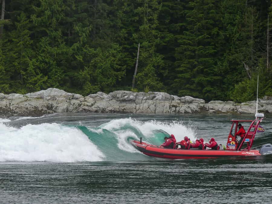 Campbell River: 4-Hour Ocean Rapids Ride - Evaluating the Value