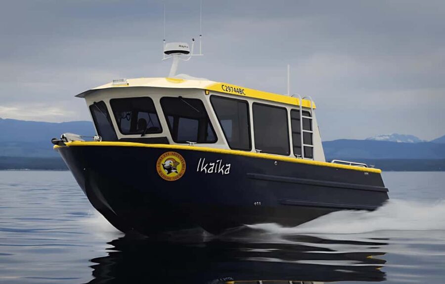 Campbell River: 6 Hour Covered Whale Watching Tour w/ Lunch - Analyzing the Value