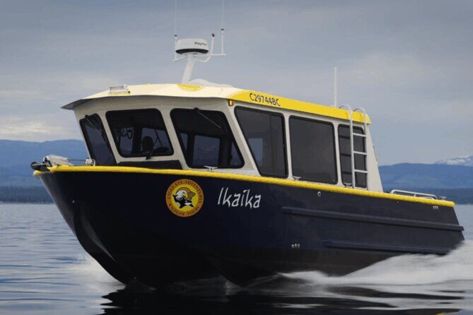 Campbell River, BC: 4 Hour Wildlife Tour Featuring Whale Watching - The Value of This Wildlife Tour