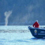 Campbell River: Salish Sea Whale Watching Adventure - Who Should Consider This Tour?