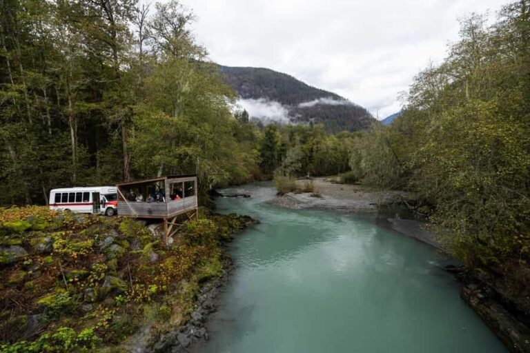 Campbell River: Toba Bears and Wilderness Grizzly Bear Tour - Exploring Toba Inlet and Indigenous Culture