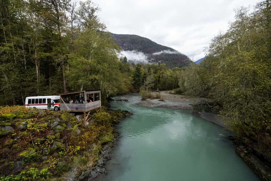 Campbell River: Toba Bears and Wilderness Grizzly Bear Tour - Exploring Toba Inlet and Indigenous Culture