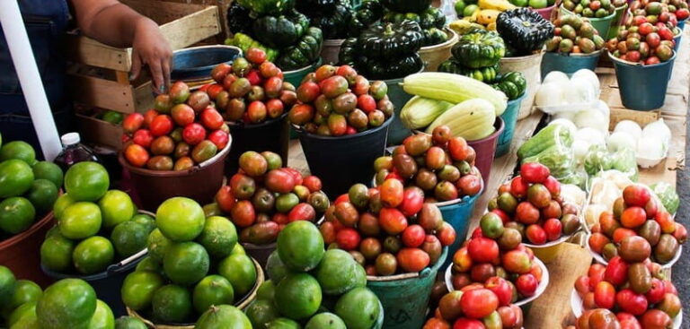 Campeche: Gastronomic Route through the city Market - Tour Logistics and Practicalities