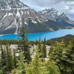 Can/Banff :Columbia Icefield, Crowfoot Glacier and Bow Lake, Tour - Who Will Love This Tour?
