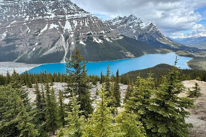 Can/Banff :Columbia Icefield, Crowfoot Glacier and Bow Lake, Tour - Who Will Love This Tour?