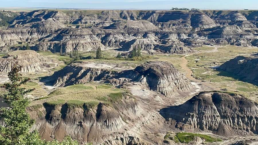 Canadian Badlands Private Tour - Why This Tour Offers Great Value