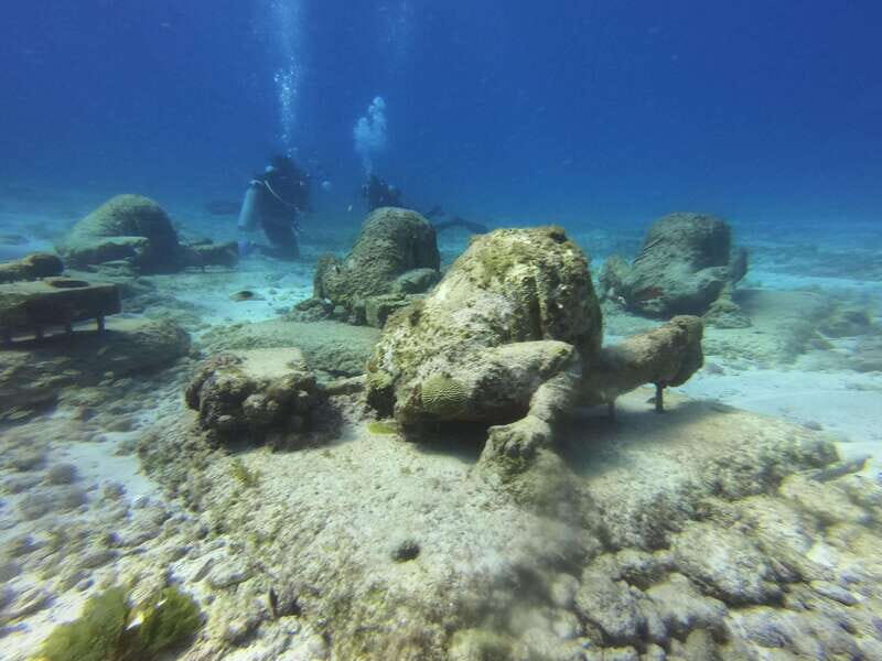 Cancun: 2-Tank Dive for Beginners with MUSA and Reef Dive - Whats Included and Whats Not