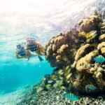 Cancun: 2Hour Speedboat Experience - Why This Tour Offers Great Value